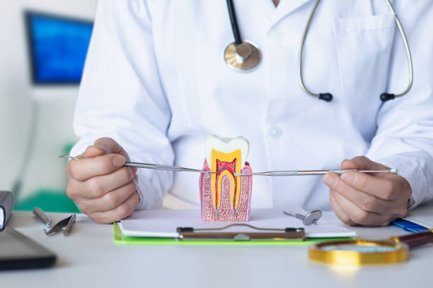 Best Emergency Dental Care for Broken or Chipped Teeth in Gillette, WY